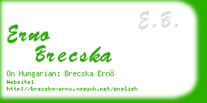 erno brecska business card